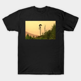 Tall Pine T-Shirt